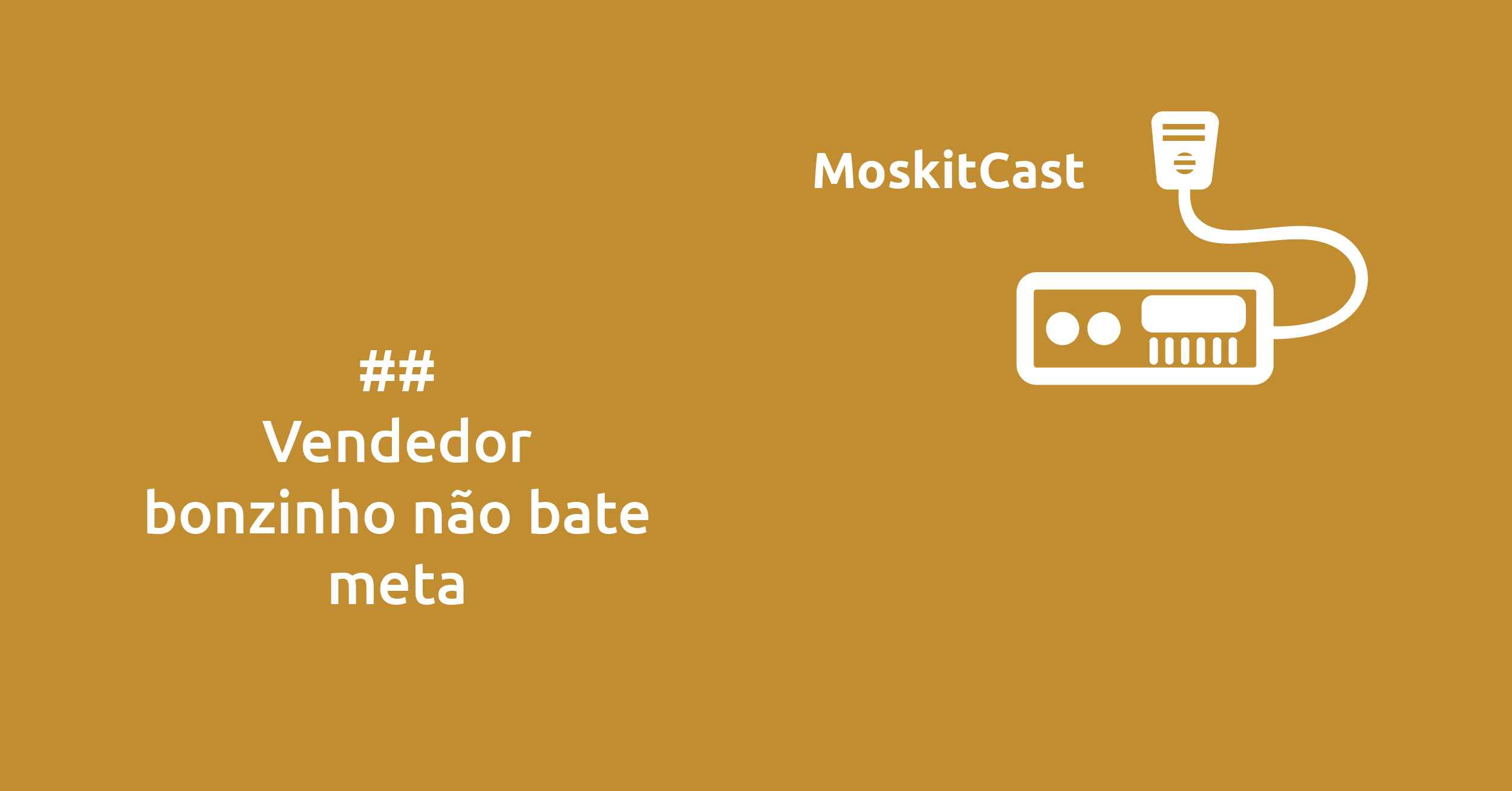 Vendedor bonzinho não bate meta!